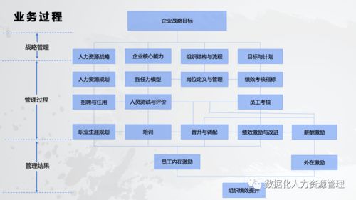 數據產品在人力資源管理的實踐與思考 一、在線數據處理與交易處理業務
